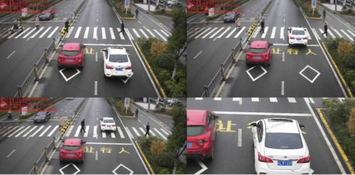 斑马线前，谁在抢行？盘点那些让行人之痛的不礼让瞬间与道路陷井